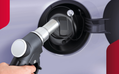Vergleich Anzahl Elektro- gegenüber Gas-Fahrzeugen