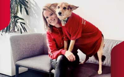 Vierbeinige Feel-Good-Manager