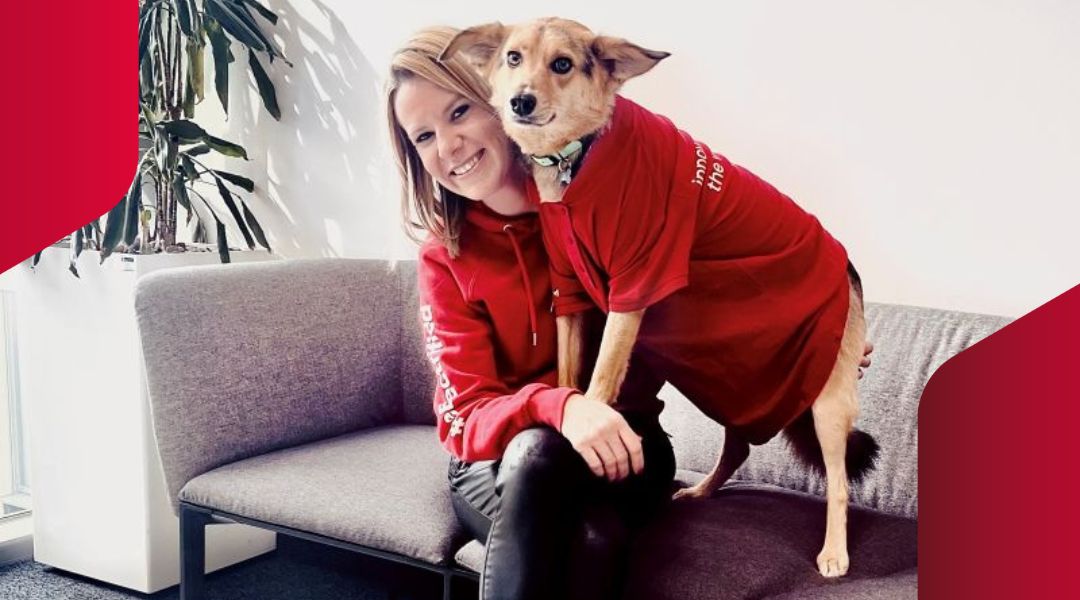 Insights Feelgoodmanager - FEV EVA